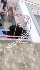 Mahalledeki kötü kokunun izini süren kadın, bu manzara ile karşılaştı: Attıracağım sizi bu evden