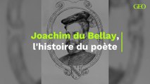 Joachim du Bellay, l'histoire du poète