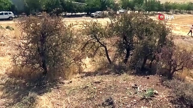 Tam 1700 yıllık... Kaçak kazı ihbarıyla ortaya çıktı!