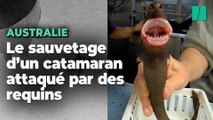 En Australie, un cargo sauve un catamaran attaqué par des requins avec un Français et deux Russes à bord