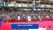 Climate Summit: What African countries have committed