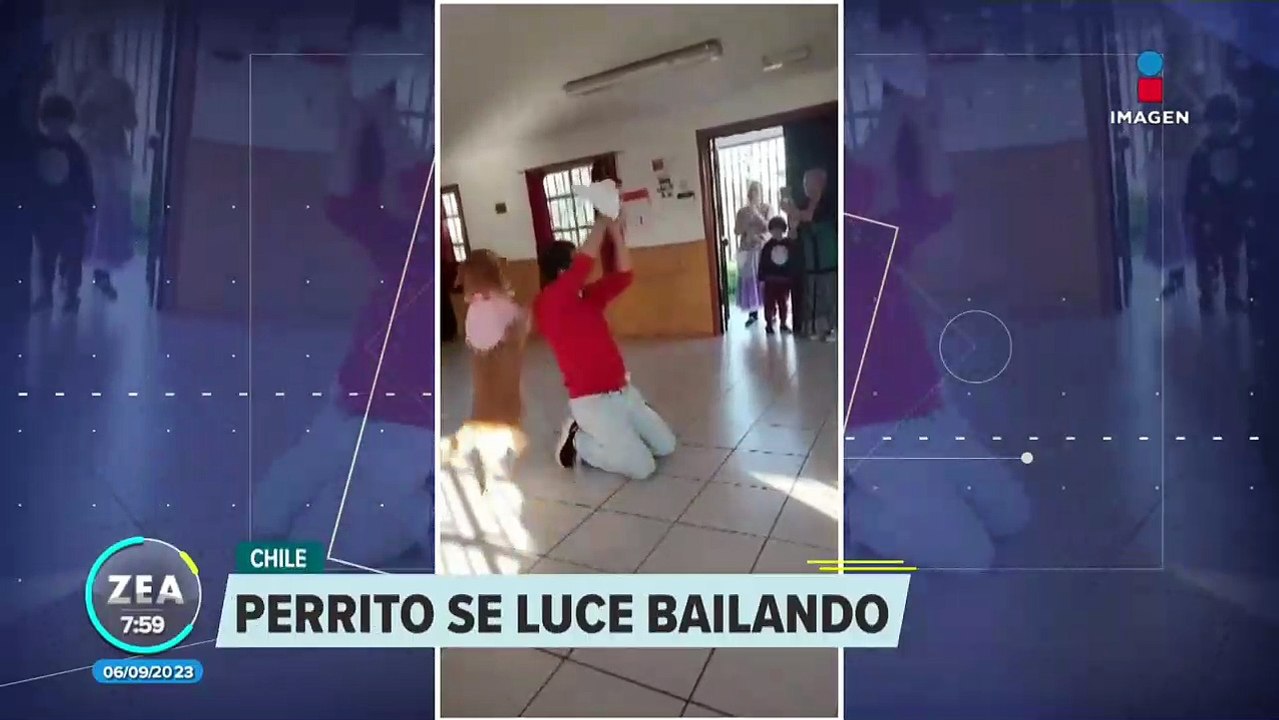 Perrito se luce bailando