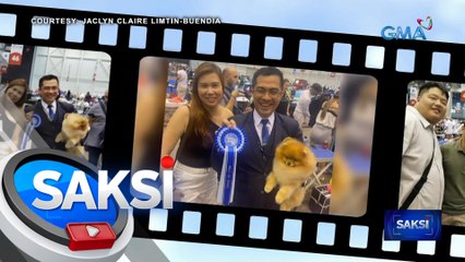 Pomeranian na tubong Cebu, nanalong "best of breed" sa world dog show sa Switzerland | Saksi