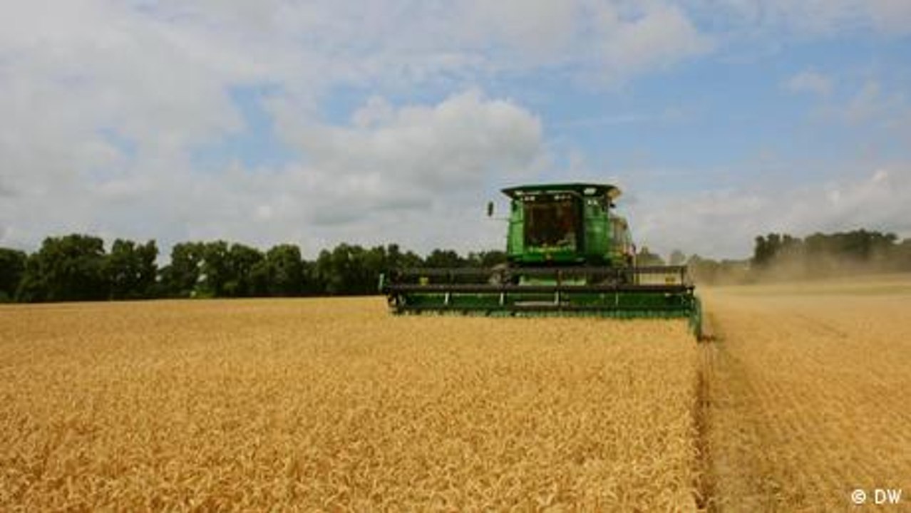 Ukraine – der Krieg und der Weizen