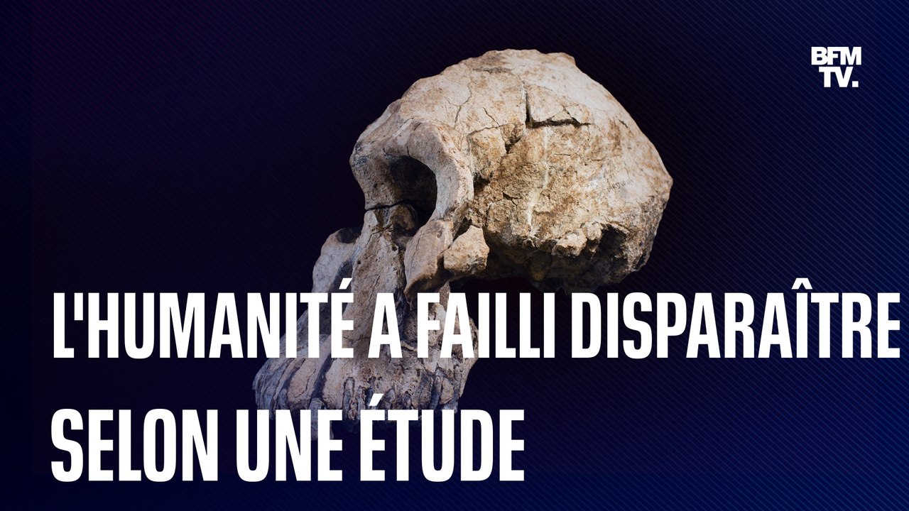 Des scientifiques estiment que l'humanité est passée proche de l'extinction il y a 900.000 ans