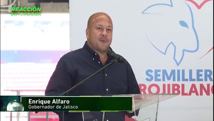 Increíble omisión del gobernador Enrique Alfaro y FMF ante la violencia en el estadio Akron 🚨