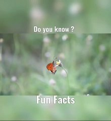 Unlock Your Brain's Full Potential for Better Decision-Making 🧠