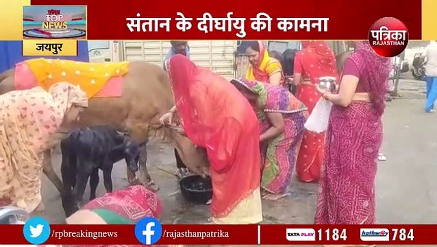 Bach Baras 2023: गाय व बछड़े का पूजन कर की संतान के दीर्घायु की कामना