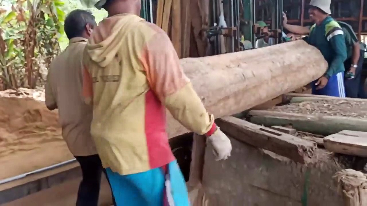 The process of sawing super dry teak wood as raw material for blocks ...