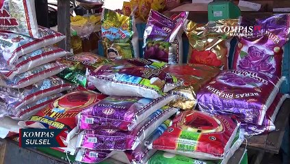 Dampak Kemarau Panjang, Harga Beras Naik