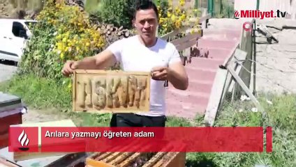 Arılara yazmayı öğreten adam