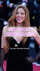 Shakira pelea por sus hijos