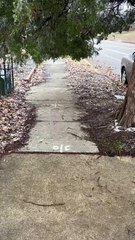 Look at how LOW it hangs