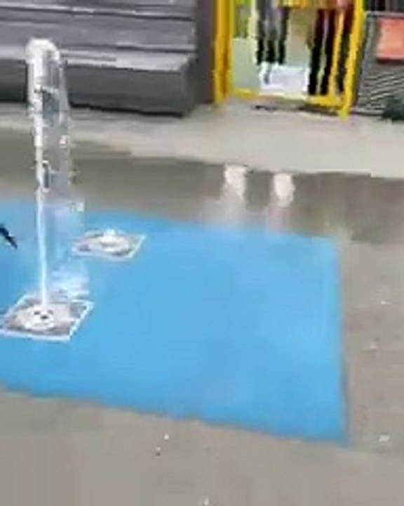 Dog Happily Runs Through Water Fountains   PETASTIC