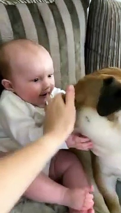 Adorable Baby and Dog Playing and Kissing   PETASTIC