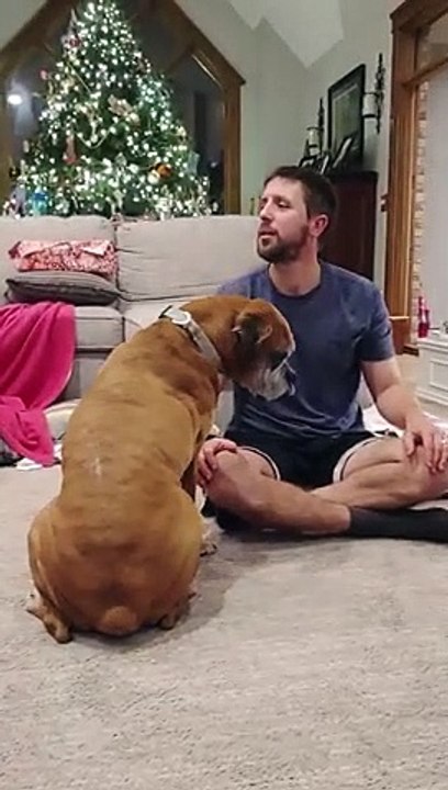Call Your Dog's Name When They Are Next To You   PETASTIC