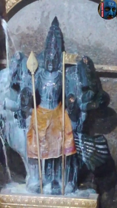 கிருத்திகை முருகன் அபிஷேகம் ஆராதனை.. அரகண்டநல்லூர் அதுல்யநாதேஸ்வரர் கோவில்.. murugan aavani