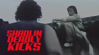 Shaolin Deadly Kicks