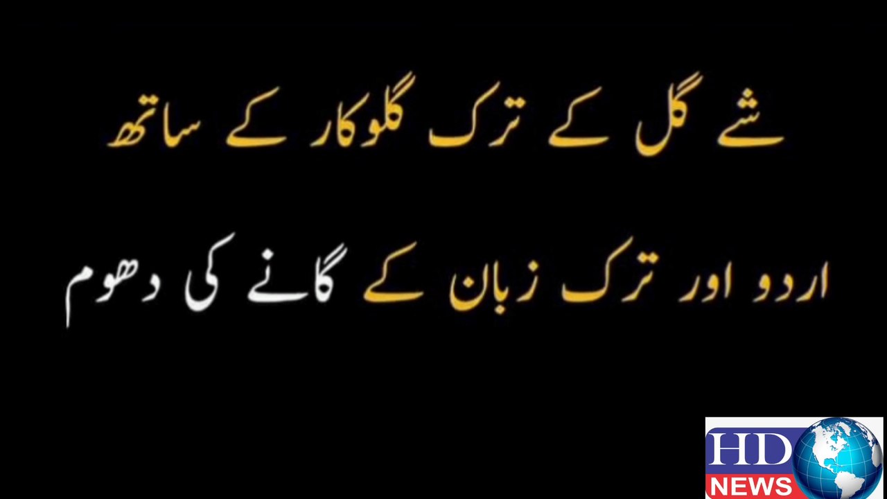 Shea Gill teams up with Turkish singer Evdeki Saat for a new song 'One Love'