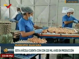 Carabobo | Granja Avícola Don Tito produce 325 cajas de huevos diarios para el beneficio del país