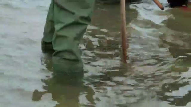 Gordon Gino & Fred Road Trip S04E02 Fiesta Forever