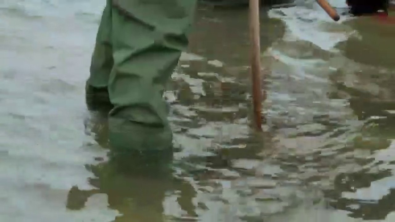 Gordon Gino & Fred Road Trip S04E02 Fiesta Forever