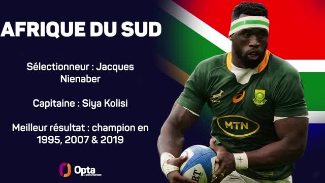 Coupe du monde 2023 - Irlande, France, Afrique du Sud : qui sera champion du monde ?