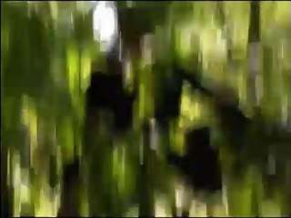 The Bill S12E105 Second Chances