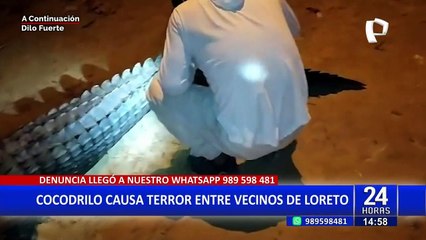Loreto: pescador mata a cocodrilo que se escapo de río y asusto a los residentes