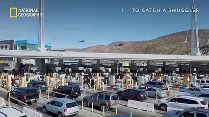 To Catch A Smuggler: Caribbean Coast | show | 2022 | Official Trailer