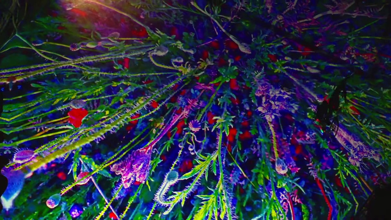 DEPOT - Reflecting Boijmans | movie | 2023 | Official Trailer