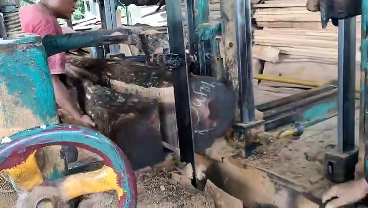 Sawing Teak Wood With 1 cm And 2 cm Thick Boards. In The Sawmill, It Turned Out That This Is The Process