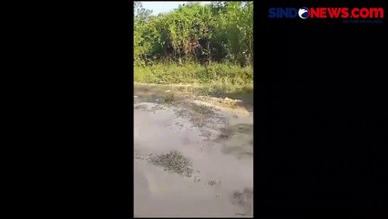 Diduga Mabuk, Bocah Penuh Lumpur Berjalan Sempoyongan di Katingan