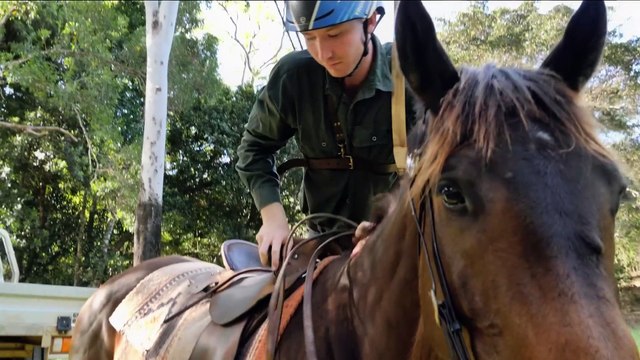 Amid supply shortage, medication substitutes not suitable for everyone