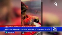 La Perla: adoptan a perrito que fue agredido por sujeto que le lanzó una piedra y lo desmayó