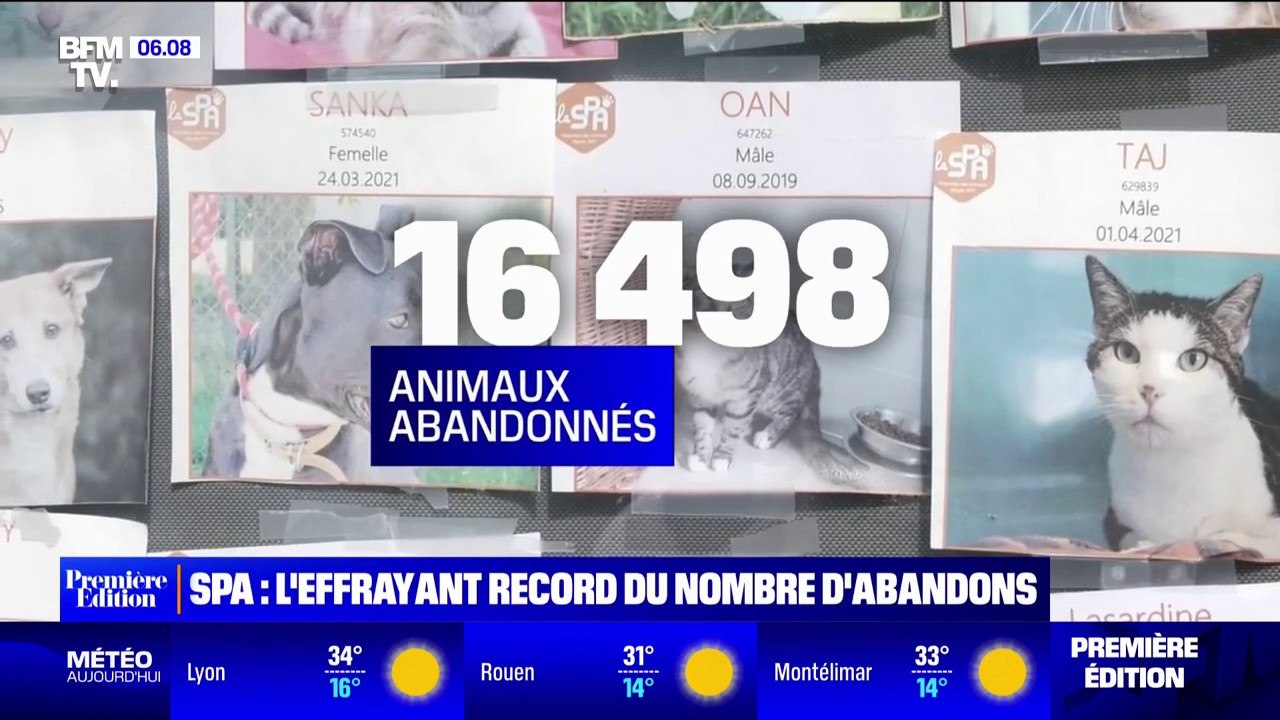 La SPA dévoile une nouvelle campagne choc, après l'abandon de 16.498 animaux en 2023