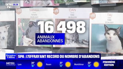 La SPA dévoile une nouvelle campagne choc, après l'abandon de 16.498 animaux en 2023