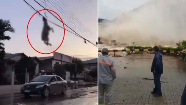 Brezilya'da görülmemiş felaket! Tropikal kasırga nedeniyle ölenlerin sayısı 28'e yükseldi, çok sayıda hayvan telef oldu