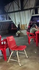 Head Over Heels The Upside-Down Guitar Performance