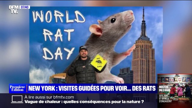 À New York, un influenceur organise des visites guidées gratuites pour voir des rats