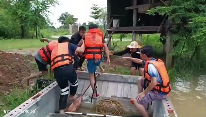 ฝนตกหนัก! กาฬสินธุ์น้ำท่วมหลายอำเภอ - ชาวบ้านถูกน้ำป่าซัดติดต้นไม้ข้ามคืน