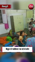 मिनी ट्रक पलटने से तीन की मौत