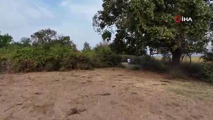 Bursa'daki bu yer sonbaharda bir başka güzel