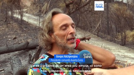 Incendi in Grecia, il dramma degli agricoltori di Avanda e Makri: "Perso il lavoro di una vita"