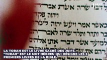 Quelle est la différence entre la Torah et la Bible ?