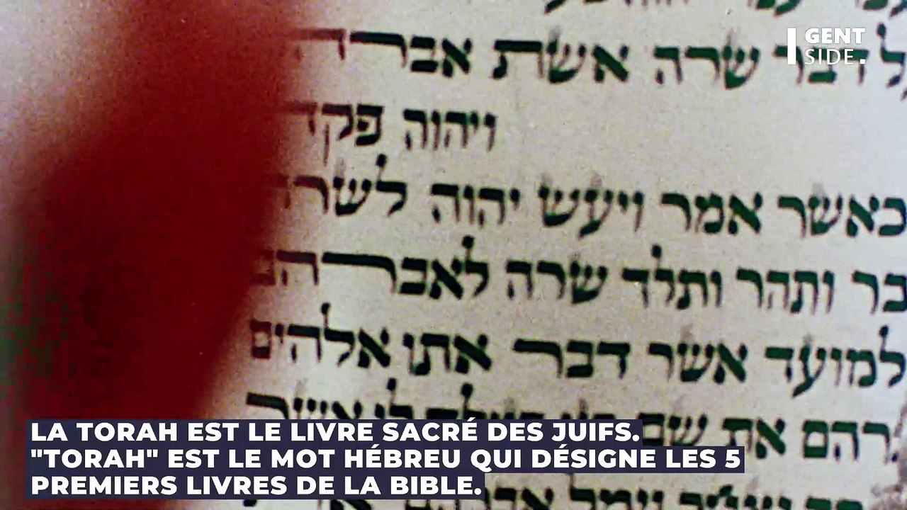 Quelle est la différence entre la Torah et la Bible ? Vidéo Dailymotion