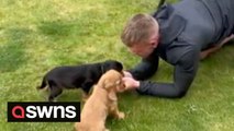 Sweet moment girlfriend surprises footballer boyfriend - with two puppies