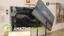Amazing Earth: Nature-inspired artworks in Pinto Art Museum! (Online Exclusives)