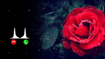 New ringtone, hindi ringtone 2023, latest ringtone 2023,Ringtones for mobile mp3, ringtone download