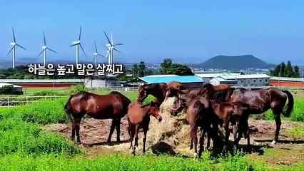 [사진구성] 오늘은 '푸른 하늘의 날' 外